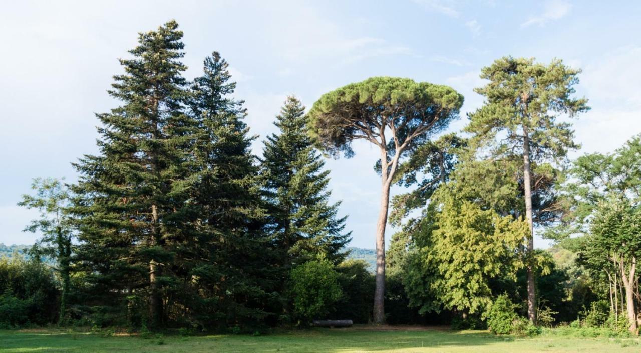 Chateau De Montcaud Sabran Εξωτερικό φωτογραφία