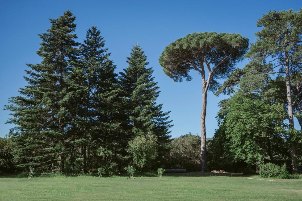 Chateau De Montcaud Sabran Εξωτερικό φωτογραφία
